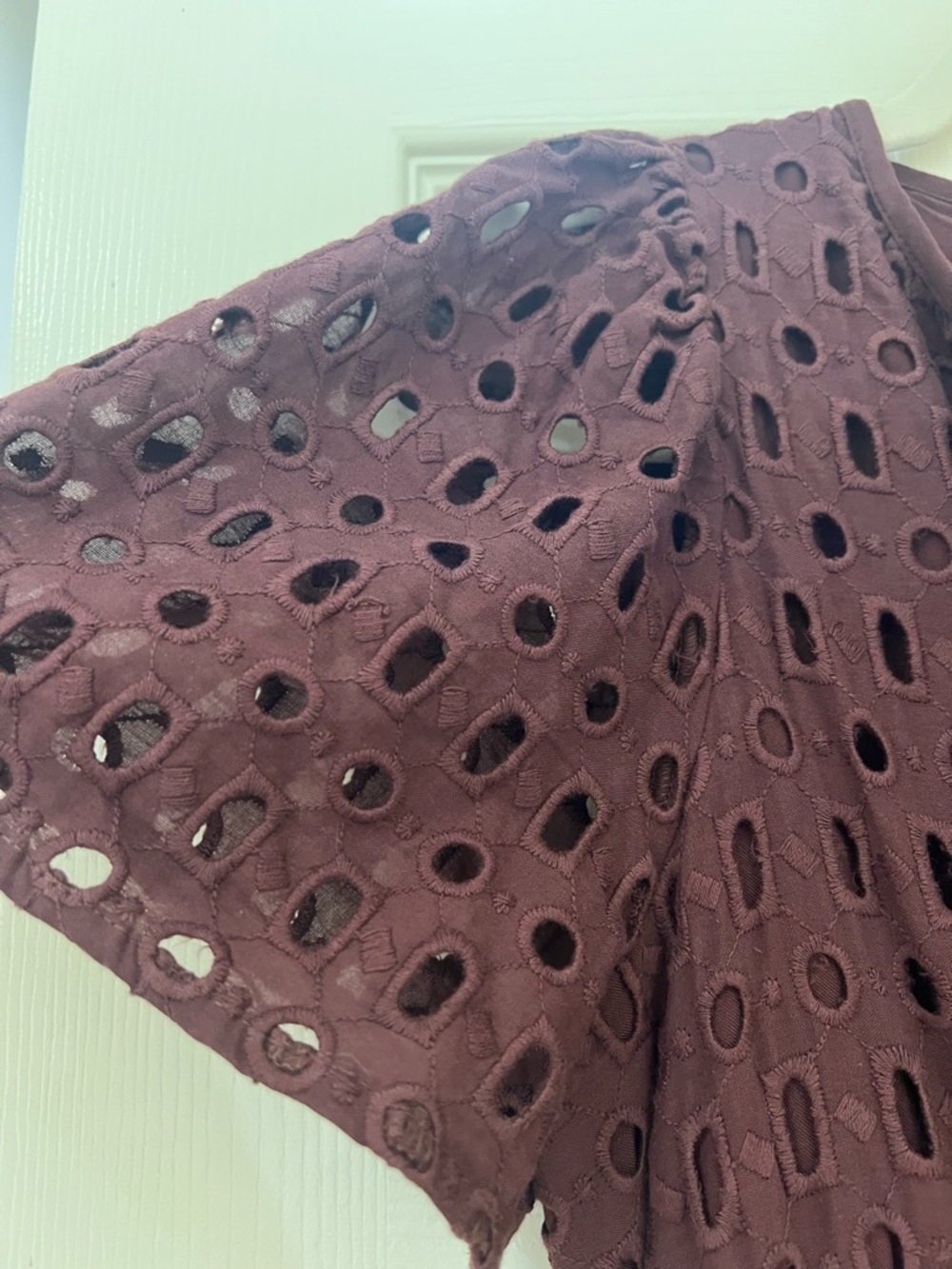Anthropologie Burgundy Eyelet Somerset Maxi Dress - Picture 5 of 8